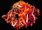 Crocoite from Red Lead Mine, Dundas, Tasmania, Australia