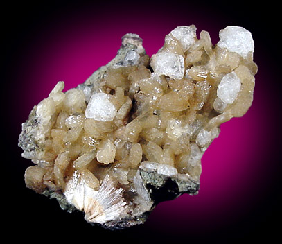 Natrolite, Analcime, Stilbite from Wasson's Bluff, Parrsboro, Nova Scotia, Canada