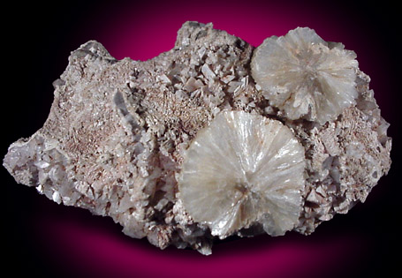 Stilbite on Heulandite from Hall's Harbor, Nova Scotia, Canada