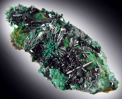 Atacamite from Mina Farola, Copiapo, Atacama Desert, Chile (Type Locality for Atacamite)