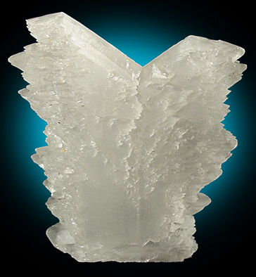 Gypsum var. Fishtail Twin from Ocampo, Coahuila, Mexico