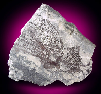 Silver var. Dendritic in matrix from Kerr Lake Majestic Mine, Cobalt District, Ontario, Canada