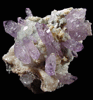 Quartz var. Amethyst from Osilo, Sardinia, Italy