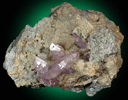 Quartz var. Amethyst from Osilo, Sardinia, Italy