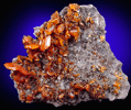 Wulfenite from Red Cloud Mine, Yuma County, Arizona