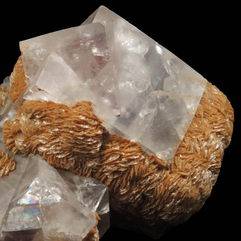 Fluorite (twinned crystals) with Siderite from Boltsburn Mine, Rookhope, County Durham, England