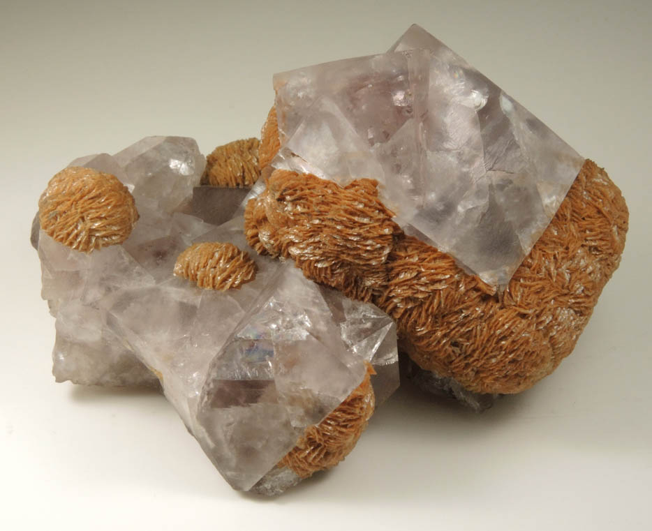 Fluorite (twinned crystals) with Siderite from Boltsburn Mine, Rookhope, County Durham, England