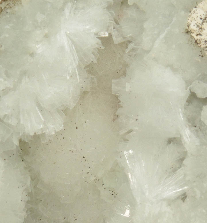 Pectolite lining Datolite cavity from Millington Quarry, Bernards Township, Somerset County, New Jersey
