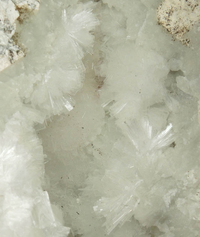 Pectolite lining Datolite cavity from Millington Quarry, Bernards Township, Somerset County, New Jersey