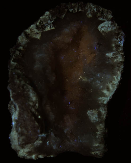 Photo below under longwave ultraviolet illumination of Pectolite lining Datolite cavity from Millington Quarry, Bernards Township, Somerset County, New Jersey Pectolite lining Datolite cavity from Millington Quarry, Bernards Township, Somerset County, New Jersey