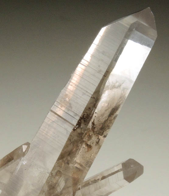 Quartz var. Smoky Quartz from Sierra Blanca, White Mountain Wilderness, Lincoln County, New Mexico