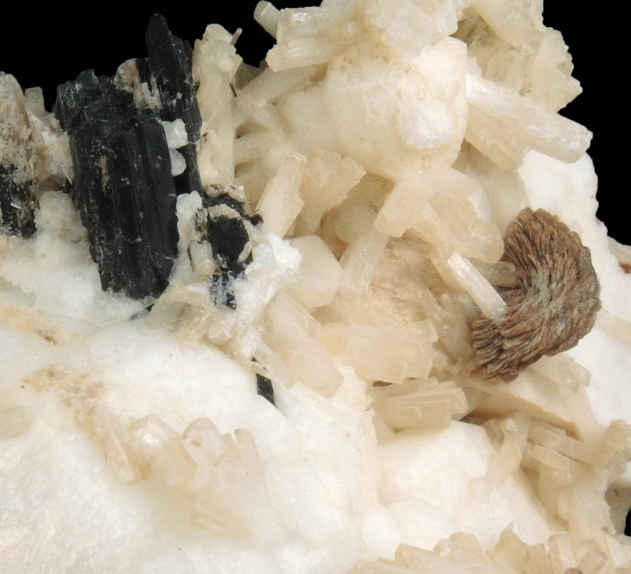 Analcime, Natrolite, Rhodochrosite, Aegirine from Poudrette Quarry, Mont Saint-Hilaire, Qubec, Canada