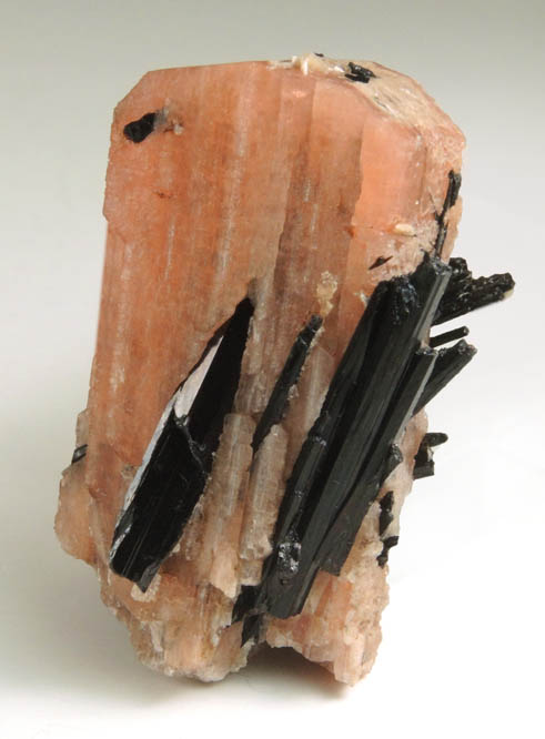 Serandite with Aegirine from Poudrette Quarry, Mont Saint-Hilaire, Qubec, Canada