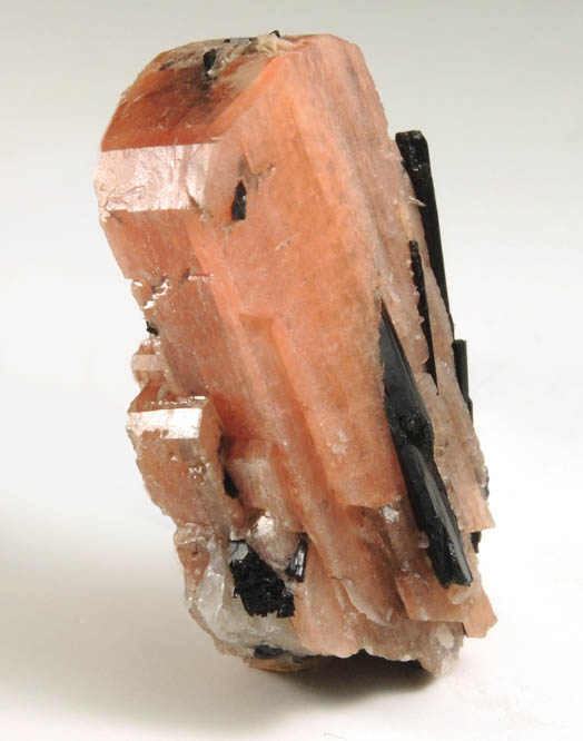Serandite with Aegirine from Poudrette Quarry, Mont Saint-Hilaire, Qubec, Canada