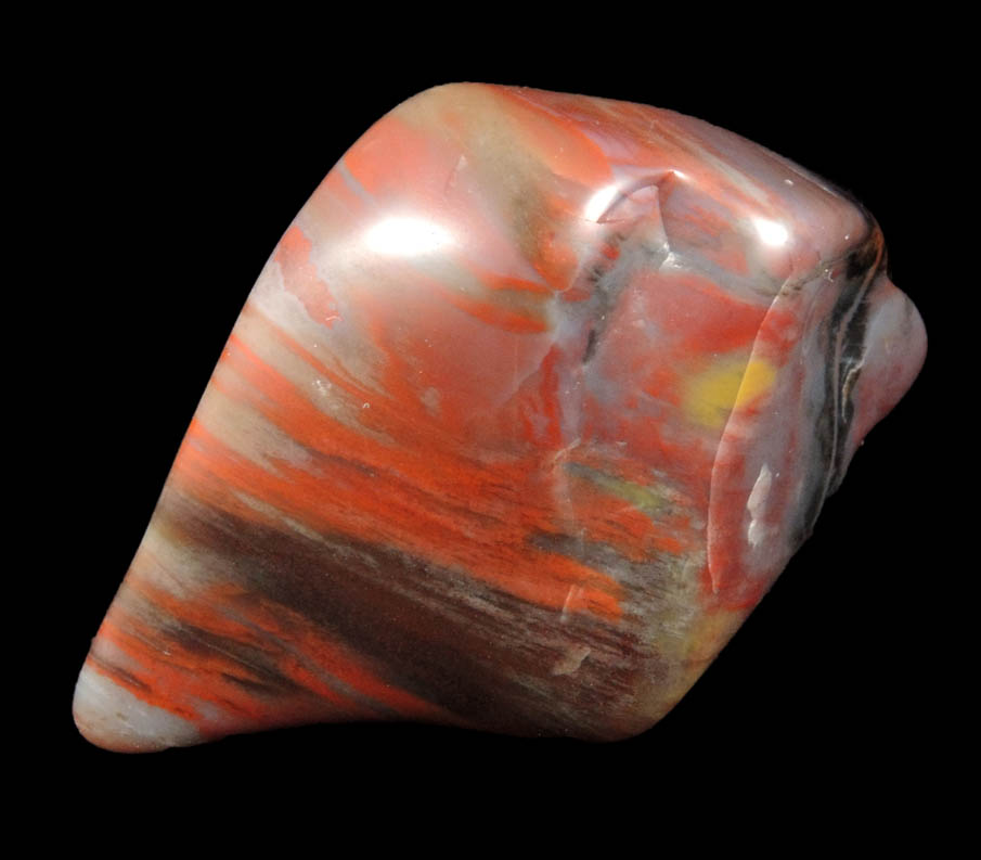 Quartz var. Petrified Wood from Petrified Forest, near Holbrook, Navajo County, Arizona