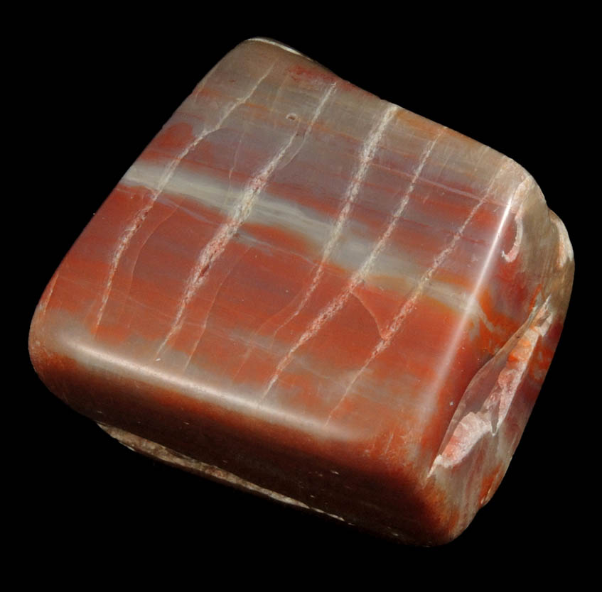Quartz var. Petrified Wood from Petrified Forest, near Holbrook, Navajo County, Arizona