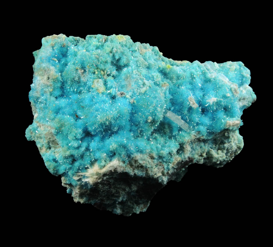 Caledonite, Linarite, Cerussite, Brochantite, Chrysocolla from Scar Vein, Leadhills, South Lanarkshire, Scotland (Type Locality for Caledonite)