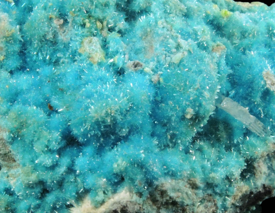 Caledonite, Linarite, Cerussite, Brochantite, Chrysocolla from Scar Vein, Leadhills, South Lanarkshire, Scotland (Type Locality for Caledonite)