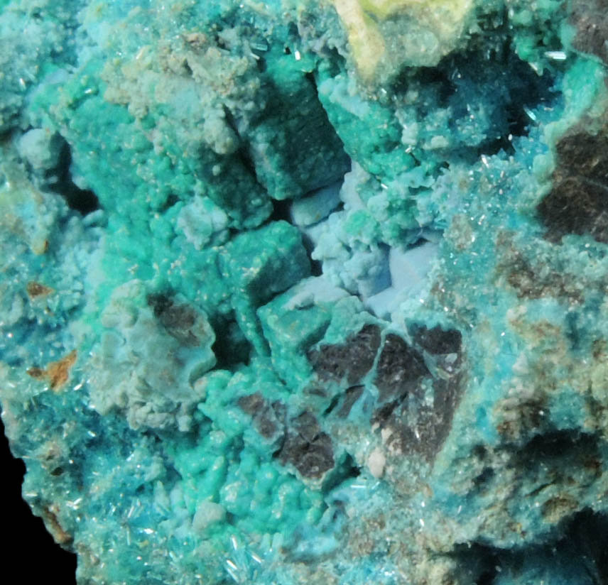 Caledonite, Linarite, Cerussite, Brochantite, Chrysocolla from Scar Vein, Leadhills, South Lanarkshire, Scotland (Type Locality for Caledonite)