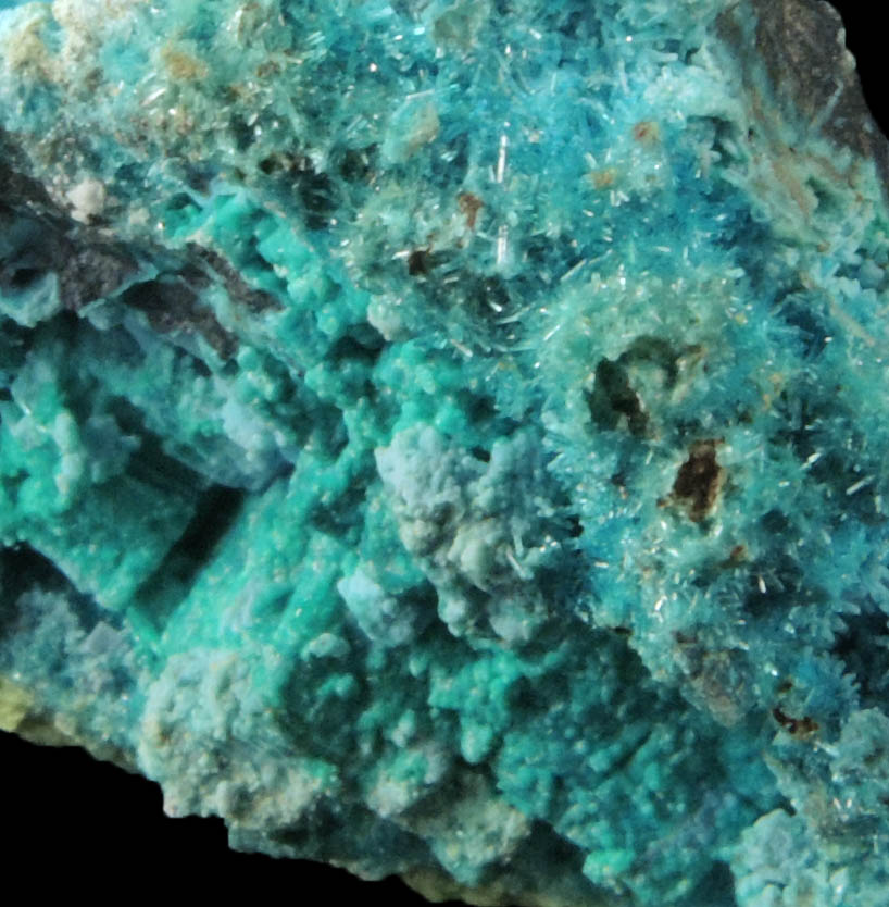 Caledonite, Linarite, Cerussite, Brochantite, Chrysocolla from Scar Vein, Leadhills, South Lanarkshire, Scotland (Type Locality for Caledonite)