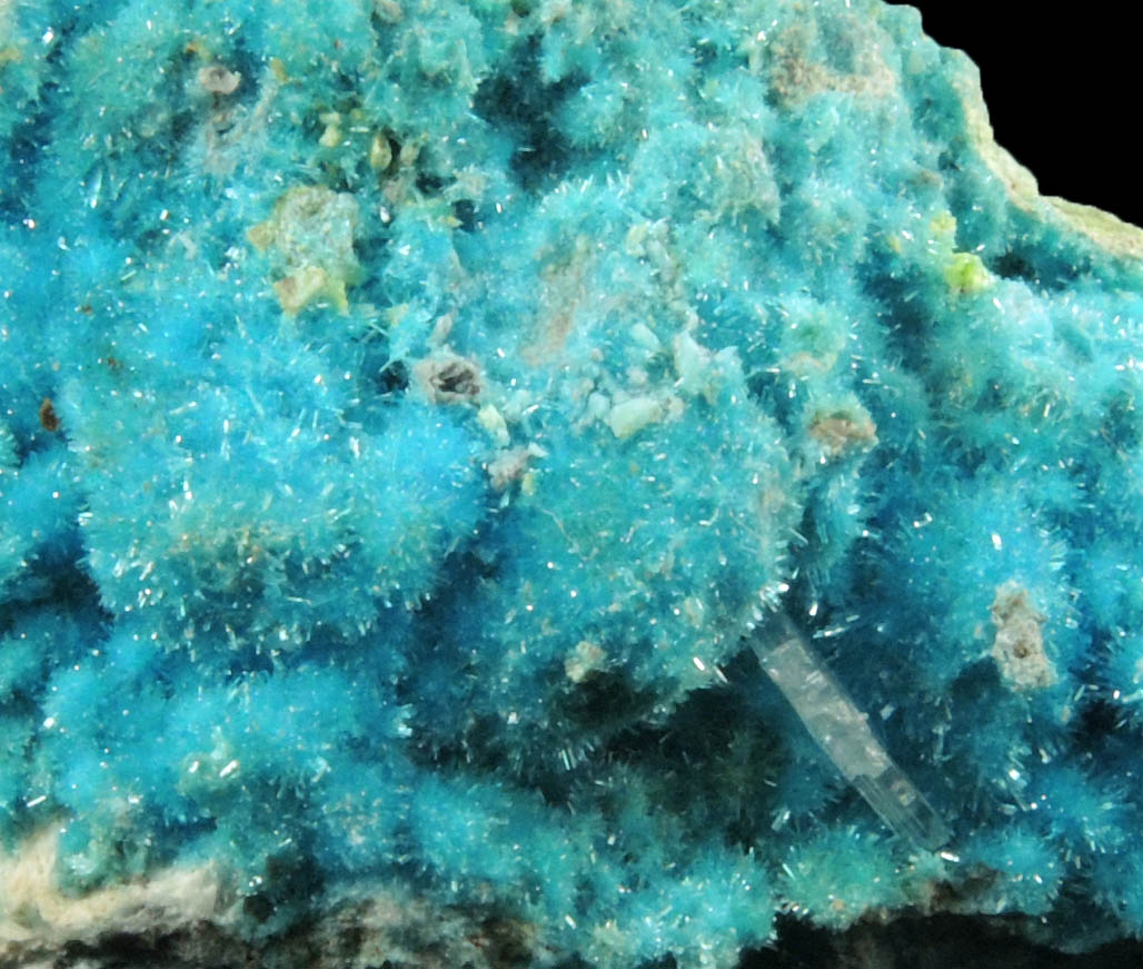 Caledonite, Linarite, Cerussite, Brochantite, Chrysocolla from Scar Vein, Leadhills, South Lanarkshire, Scotland (Type Locality for Caledonite)