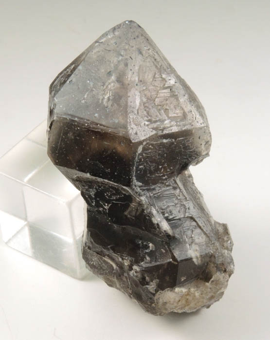 Quartz var. Smoky Quartz Scepter-formation from East Ledges, Gilman Notch, West Ossipee, Carroll County, New Hampshire