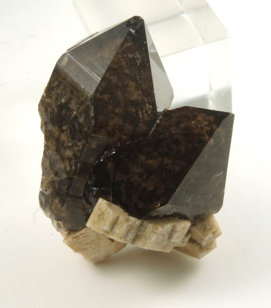 Quartz var. Smoky Quartz on Microcline from Boulder #2, Valley of Boulders, Center Ossipee, Carroll County, New Hampshire