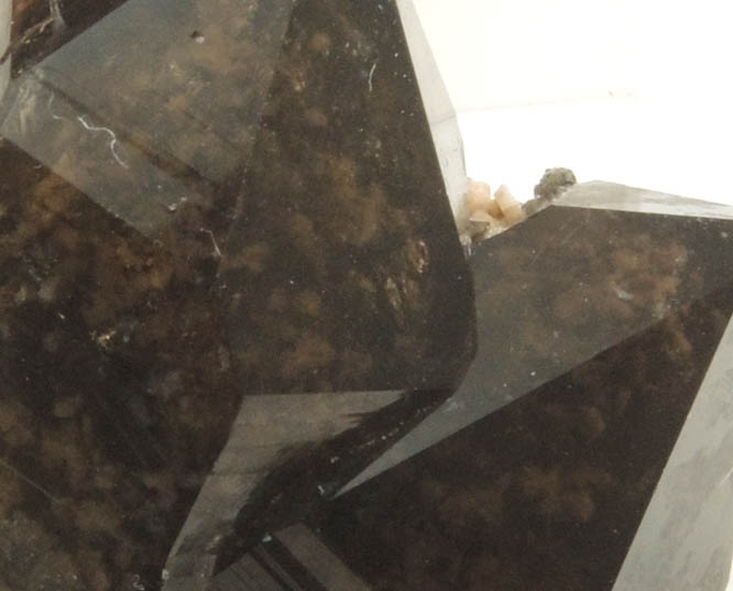 Quartz var. Smoky Quartz on Microcline from Boulder #2, Valley of Boulders, Center Ossipee, Carroll County, New Hampshire