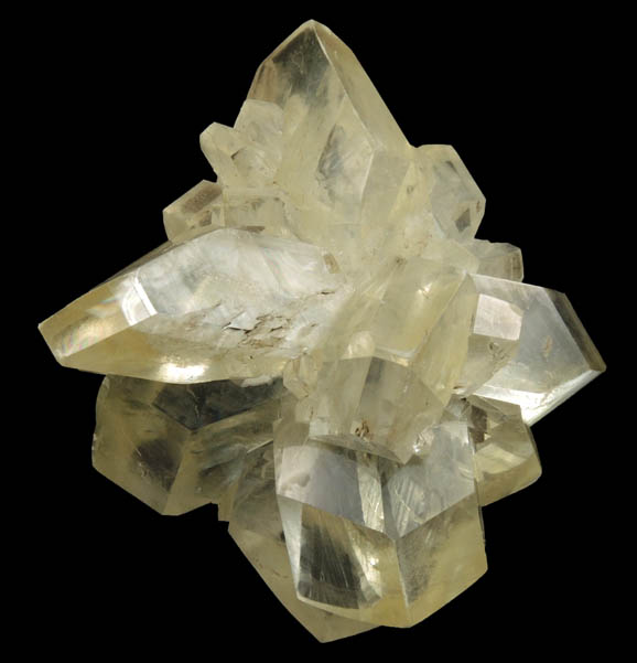 Gypsum var. Selenite from Red River Floodway, Winnipeg, Manitoba, Canada