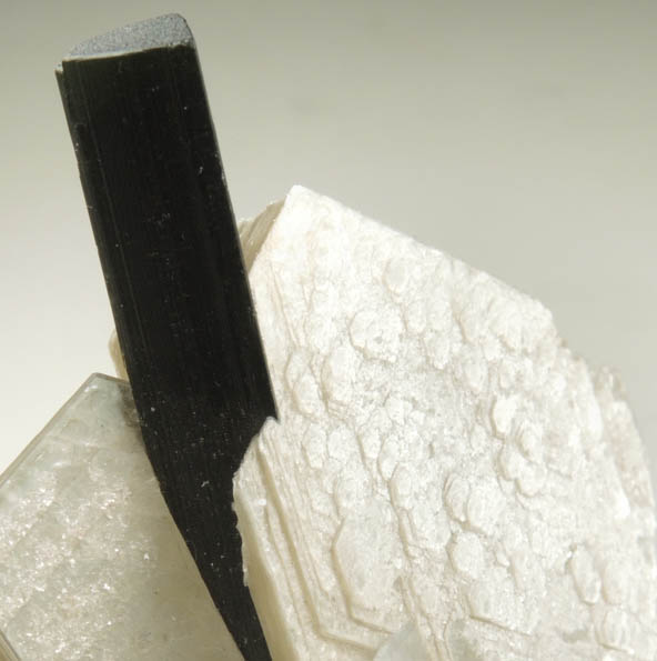 Elbaite Tourmaline in Muscovite from Minas Gerais, Brazil