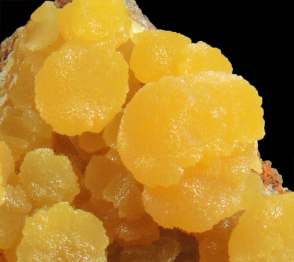 Mimetite from San Pedro Corralitos, Casas Grandes, Chihuahua, Mexico