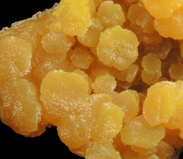 Mimetite from San Pedro Corralitos, Casas Grandes, Chihuahua, Mexico