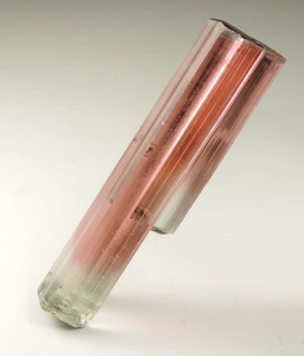 Elbaite Tourmaline (bi-colored) from Himalaya Mine, Mesa Grande District, San Diego County, California