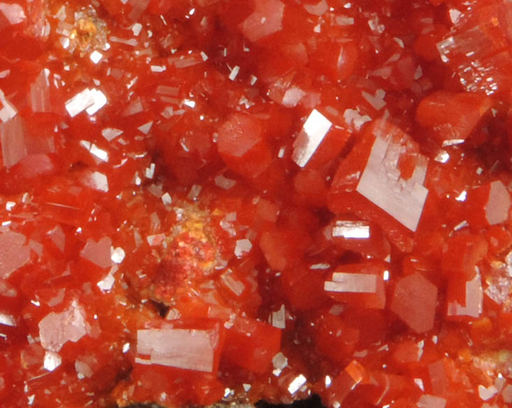 Vanadinite from Pure Potential Mine (North Geronimo Mine), La Paz County, Arizona