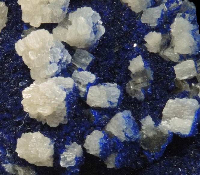 Cerussite on Azurite from Yanga Koubenza Quarry, M'Fouati, Bouenza, Brazzaville, Republic of Congo (Congo-Brazzaville)