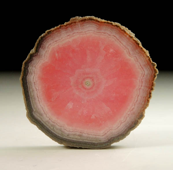 Rhodochrosite stalactite section from Capillitas Mine, Catamarca Province, Argentina