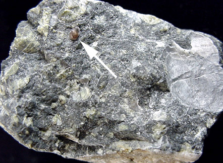 Diamond in Kimberlite from Fuxian, Liaoning Province, China