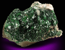 Zincolivenite (formerly Adamite var. Cuproadamite) from Tsumeb Mine, Otavi-Bergland District, Oshikoto, Namibia