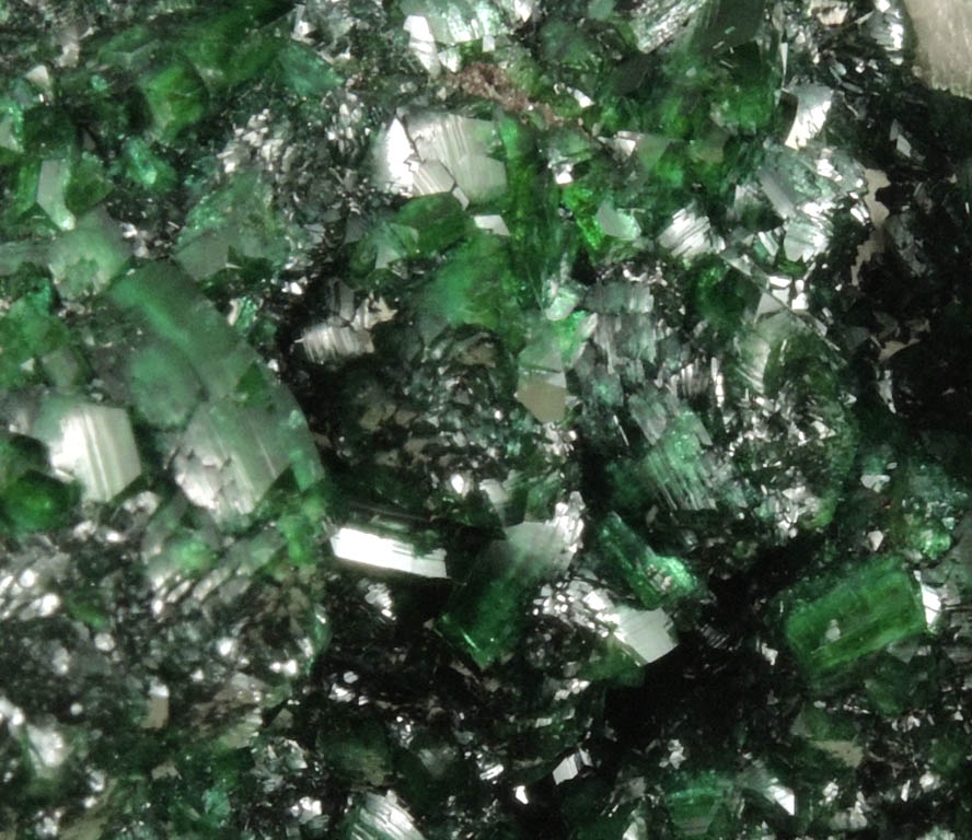 Zincolivenite (formerly Adamite var. Cuproadamite) from Tsumeb Mine, Otavi-Bergland District, Oshikoto, Namibia