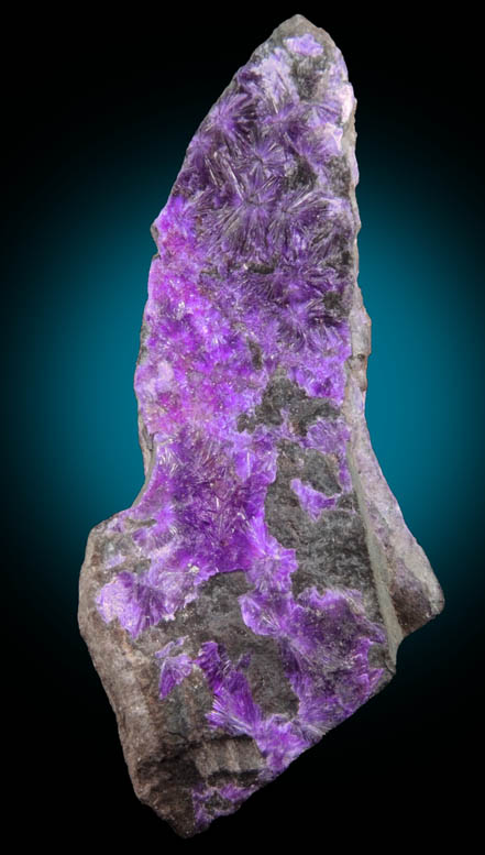 Sugilite from Wessels Mine, Kalahari Manganese Field, Northern Cape Province, South Africa