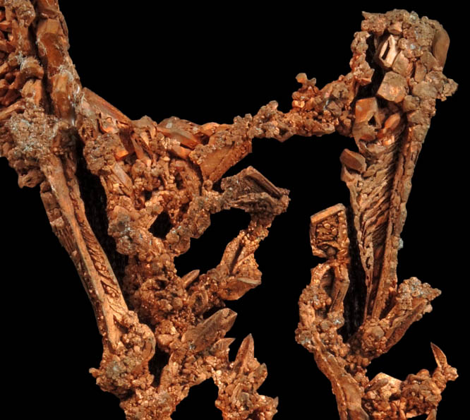 Copper (dendritic native copper) from Milpillas Mine, Cuitaca, Sonora, Mexico