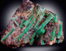 Beryl var. Emerald in Quartz from Mount Dayakou tungsten mine, 6 km northeast of Mengdong village, Malipo County, Yunnan Province, China