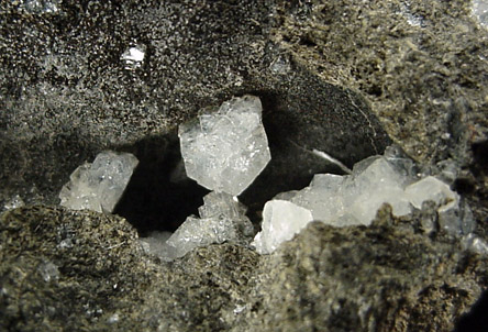 Chabazite var. Phacolite from Orroli, Sardinia, Italy