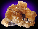 Calcite on Fluorite from Rosiclare Level, Minerva #1 Mine, Hardin County, Illinois