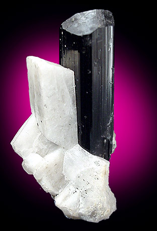 Schorl and Albite from Haramosh, Gilgit-Skardu Road, Gilgit-Baltistan, Pakistan