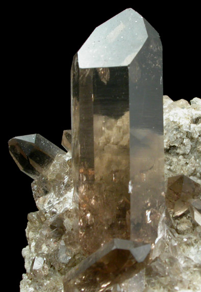 Quartz var. Smoky from Piz Gendusas, Tavetsch, Grischun, Switzerland