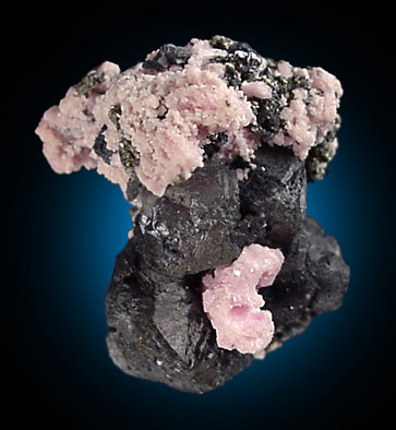Rhodochrosite on Sphalerite var. Marmatite from Santa Eulalia District, Aquiles Serdán, Chihuahua, Mexico