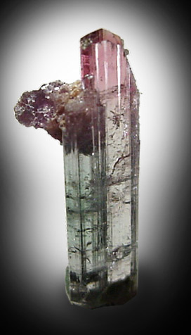 Elbaite Tourmaline with Lepidolite from Minas Gerais, Brazil