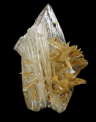 Calcite var. Cactus Calcite from Yerington, Lyon County, Nevada