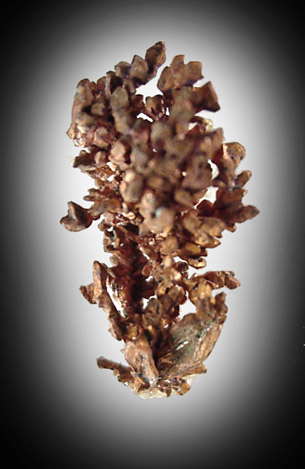 Copper, crystallized from Bisbee, Warren District, Cochise County, Arizona